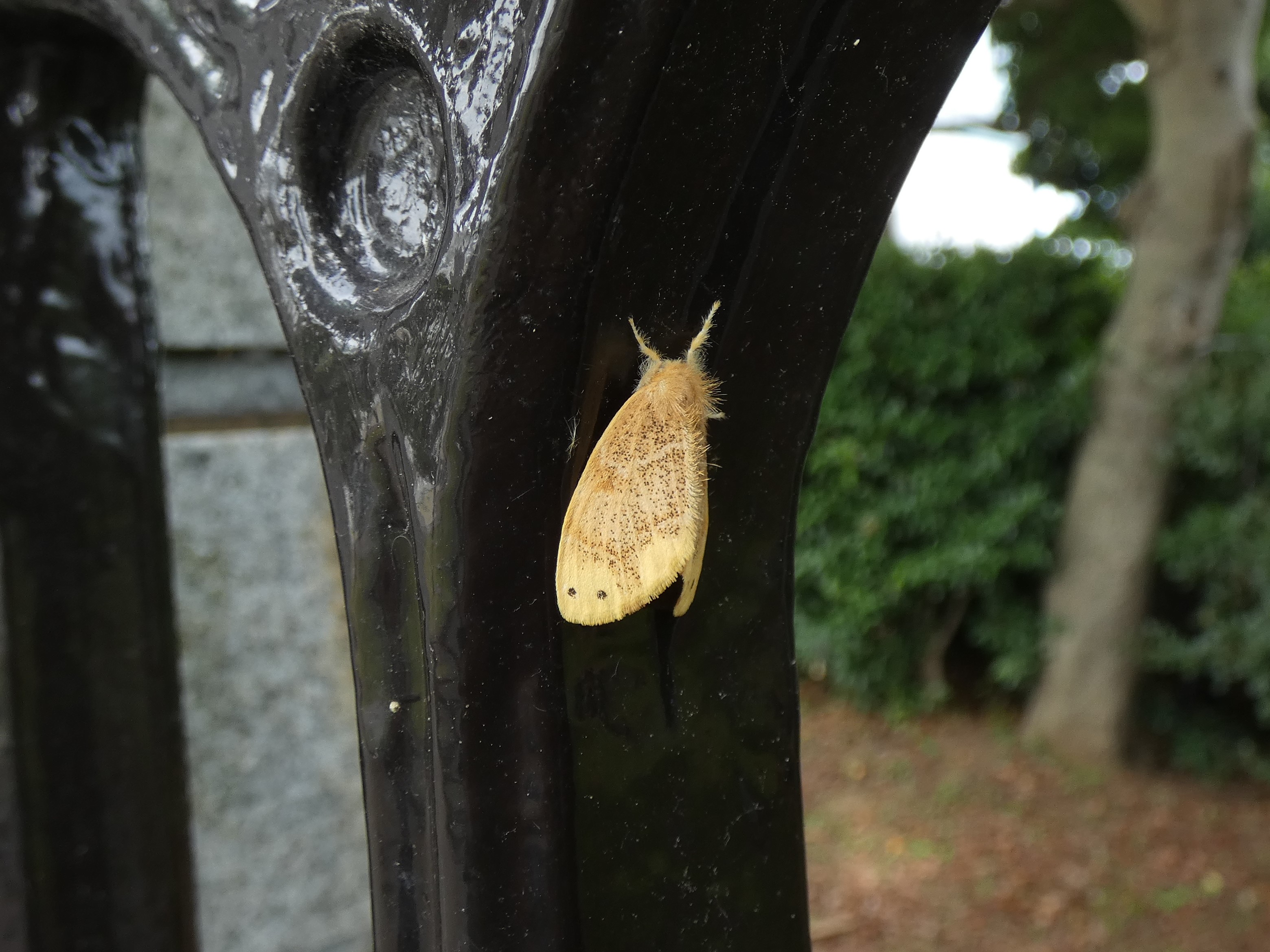 photo_5